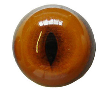 18mm Fox eyes concave/convex - per pair